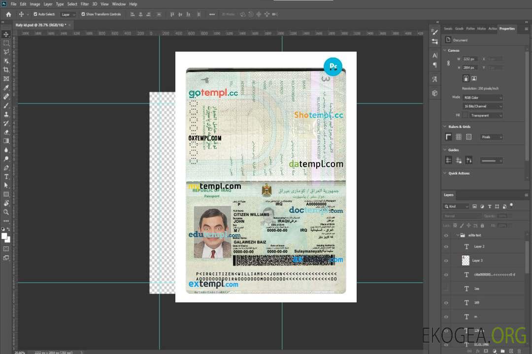 Passeport irakien 2021-présent (2) template